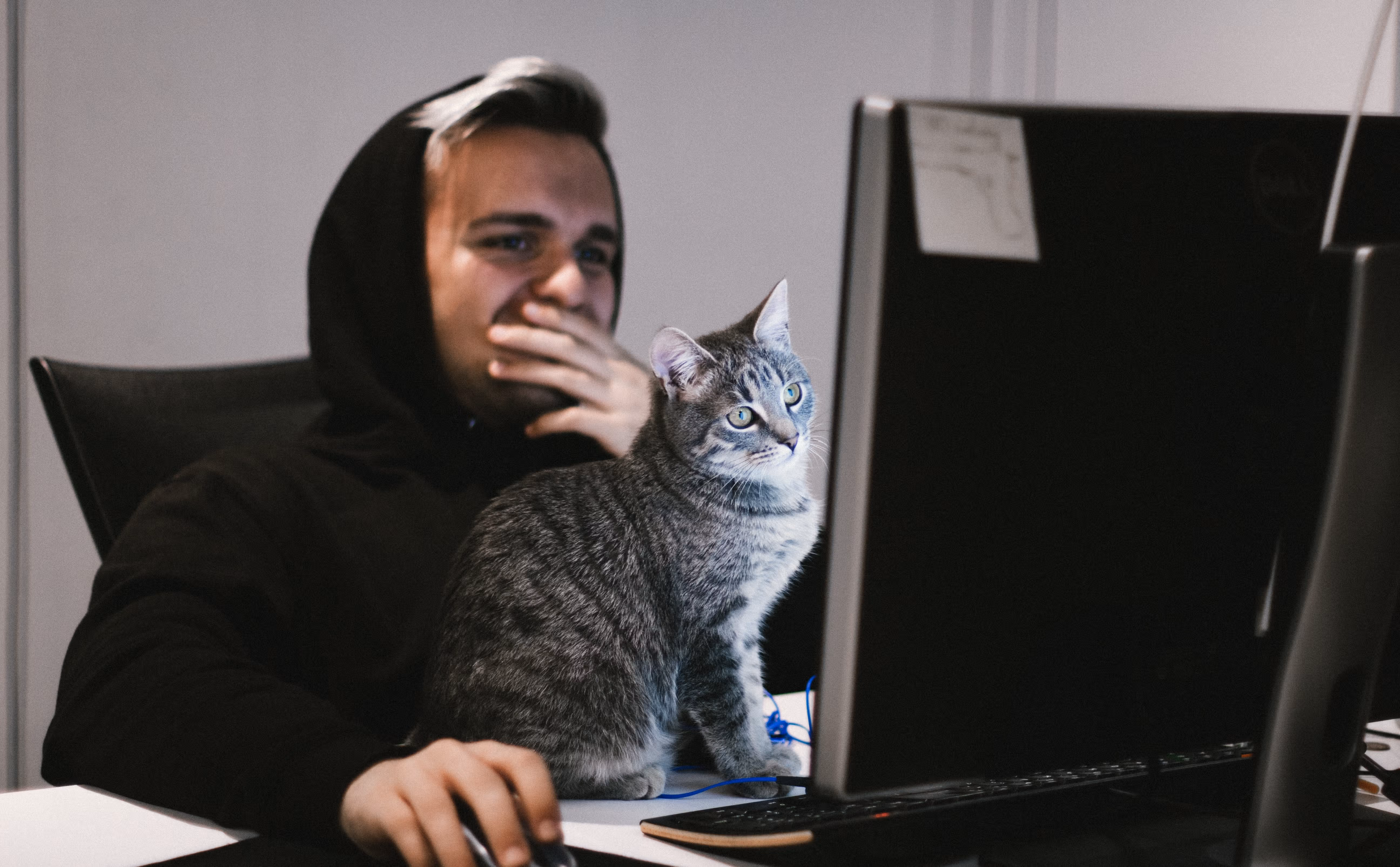 Authenticated Serverless CRUD with Netlify Functions and FaunaDB Part 2