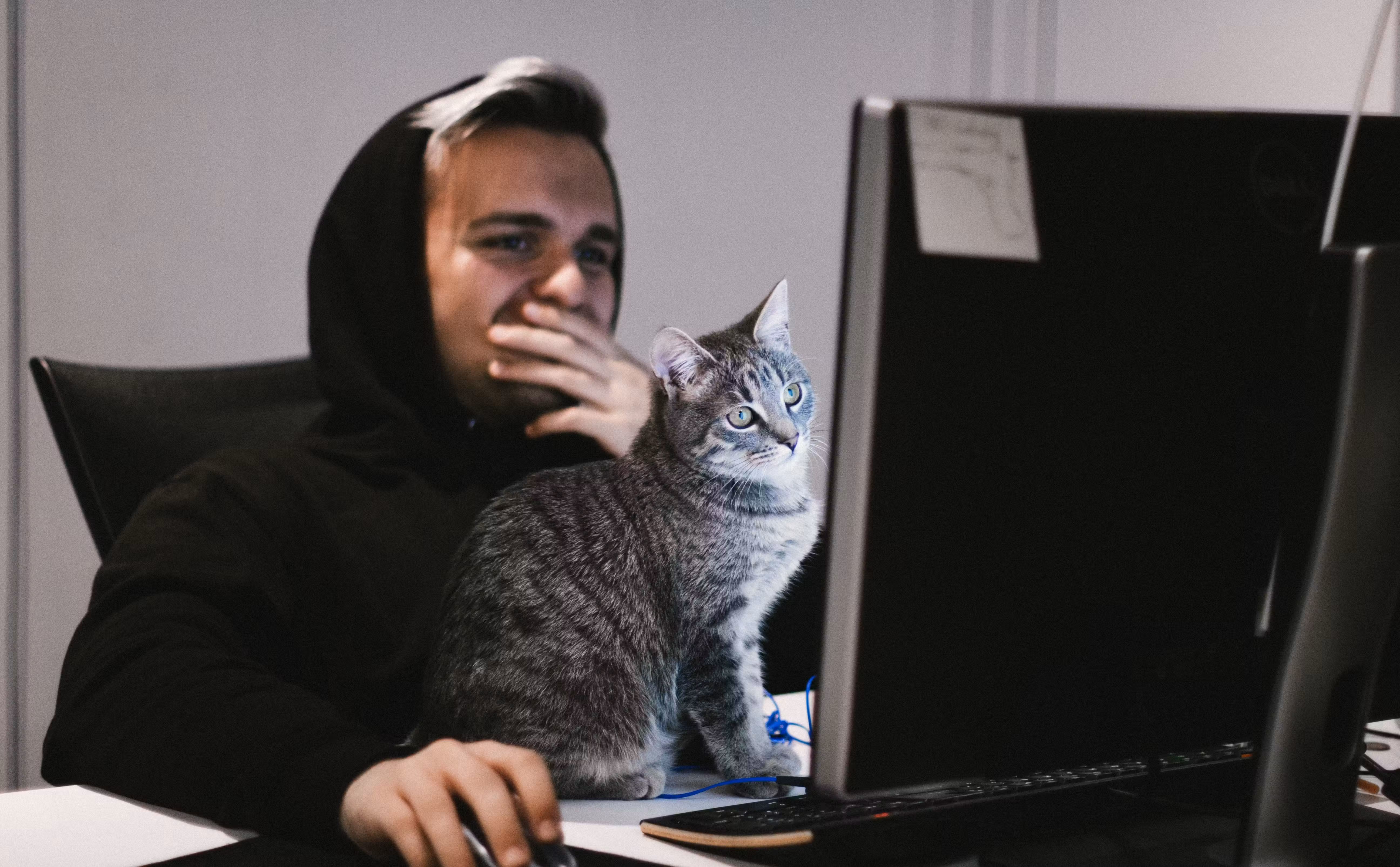 Authenticated Serverless CRUD with Netlify Functions and FaunaDB Part 2