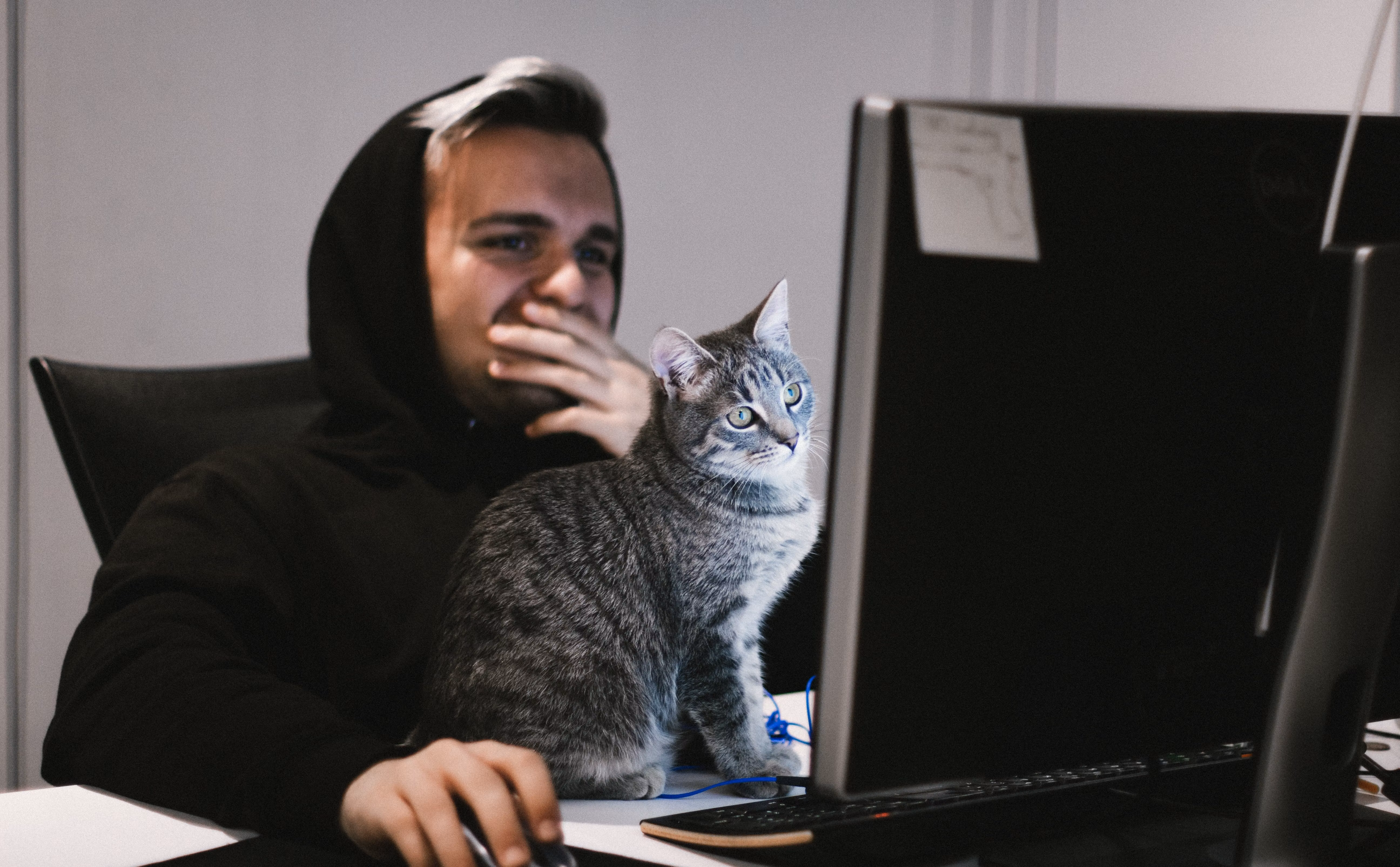 Authenticated Serverless CRUD with Netlify Functions and FaunaDB Part 2